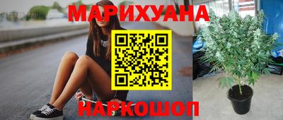 apvp Обь