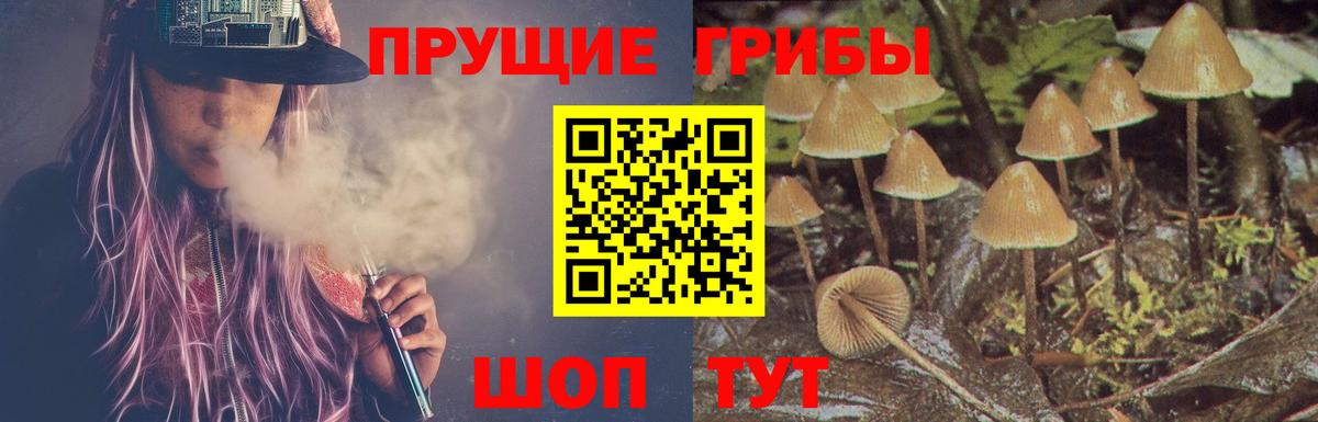 Псилоцибиновые грибы мухоморы Тобольск
